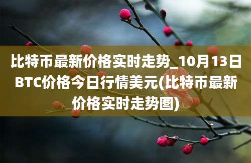 比特币最新价格实时走势_10月13日BTC价格今日行情美元(比特币最新价格实时走势图)