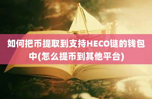 如何把币提取到支持HECO链的钱包中(怎么提币到其他平台)