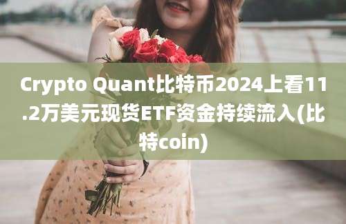 Crypto Quant比特币2024上看11.2万美元现货ETF资金持续流入(比特coin)