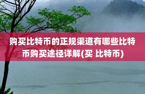 购买比特币的正规渠道有哪些比特币购买途径详解(买 比特币)