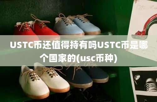 USTC币还值得持有吗USTC币是哪个国家的(usc币种)