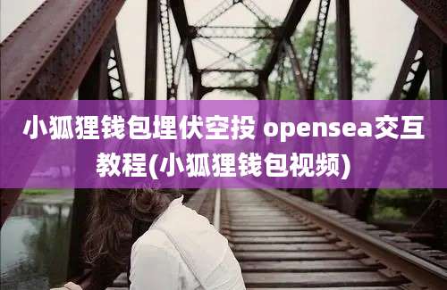 小狐狸钱包埋伏空投 opensea交互教程(小狐狸钱包视频)