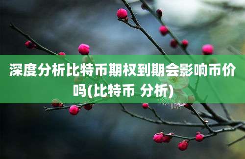 深度分析比特币期权到期会影响币价吗(比特币 分析)