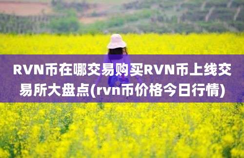 RVN币在哪交易购买RVN币上线交易所大盘点(rvn币价格今日行情)