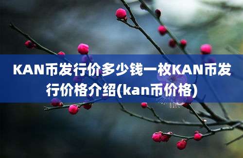 KAN币发行价多少钱一枚KAN币发行价格介绍(kan币价格)