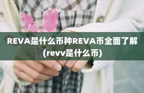 REVA是什么币种REVA币全面了解(revv是什么币)