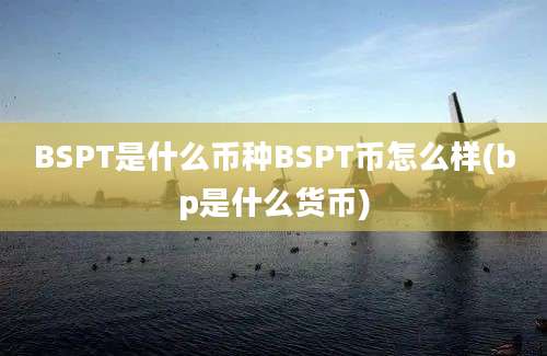 BSPT是什么币种BSPT币怎么样(bp是什么货币)