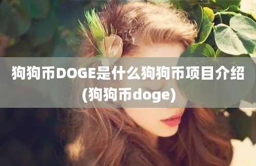 狗狗币DOGE是什么狗狗币项目介绍(狗狗币doge)