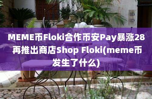 MEME币Floki合作币安Pay暴涨28 再推出商店Shop Floki(meme币发生了什么)