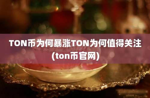 TON币为何暴涨TON为何值得关注(ton币官网)