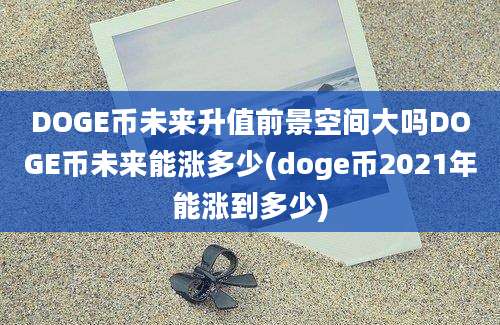 DOGE币未来升值前景空间大吗DOGE币未来能涨多少(doge币2021年能涨到多少)