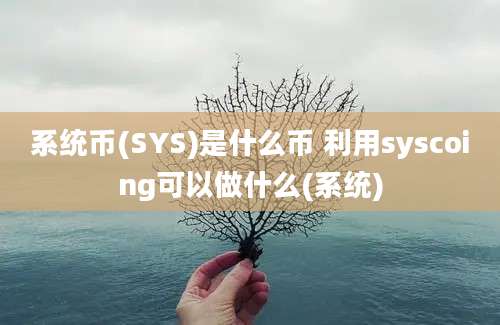 系统币(SYS)是什么币 利用syscoing可以做什么(系统)