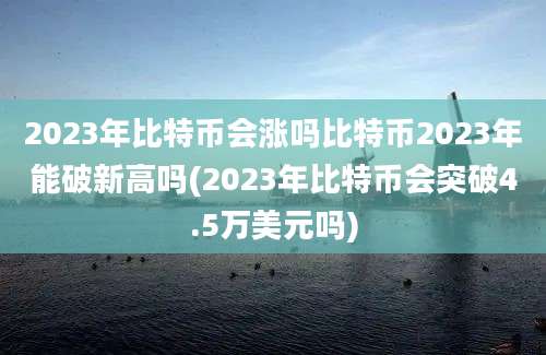 2023年比特币会涨吗比特币2023年能破新高吗(2023年比特币会突破4.5万美元吗)