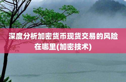 深度分析加密货币现货交易的风险在哪里(加密技术)