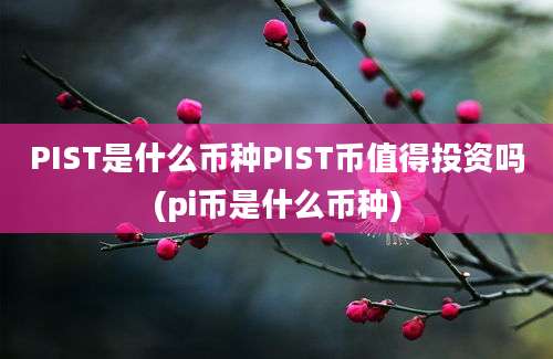 PIST是什么币种PIST币值得投资吗(pi币是什么币种)