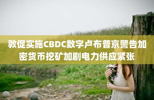 敦促实施CBDC数字卢布普京警告加密货币挖矿加剧电力供应紧张