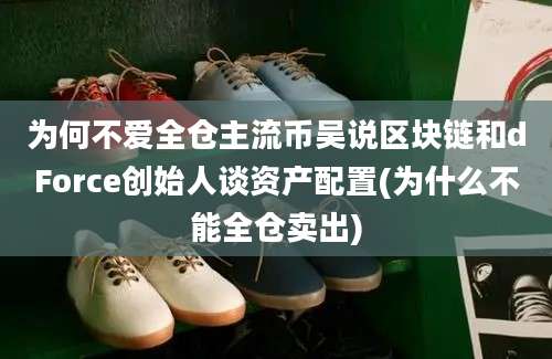 为何不爱全仓主流币吴说区块链和dForce创始人谈资产配置(为什么不能全仓卖出)