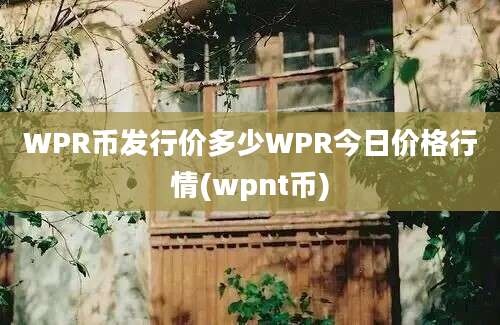 WPR币发行价多少WPR今日价格行情(wpnt币)