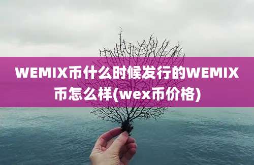 WEMIX币什么时候发行的WEMIX币怎么样(wex币价格)