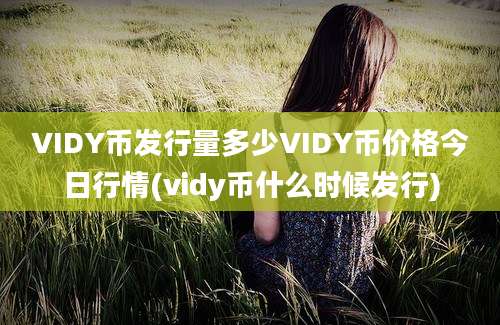 VIDY币发行量多少VIDY币价格今日行情(vidy币什么时候发行)