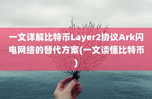 一文详解比特币Layer2协议Ark闪电网络的替代方案(一文读懂比特币)