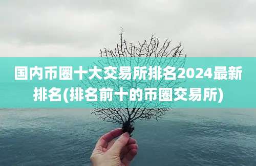 国内币圈十大交易所排名2024最新排名(排名前十的币圈交易所)