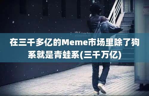 在三千多亿的Meme市场里除了狗系就是青蛙系(三千万亿)