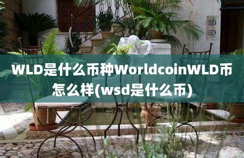 WLD是什么币种WorldcoinWLD币怎么样(wsd是什么币)