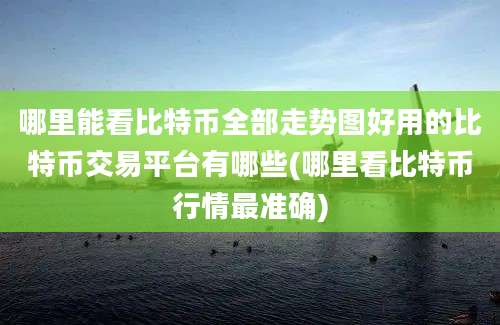 哪里能看比特币全部走势图好用的比特币交易平台有哪些(哪里看比特币行情最准确)