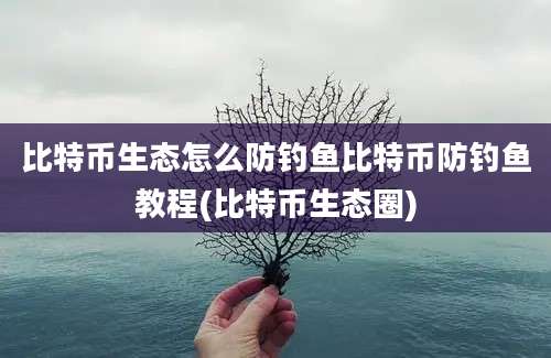 比特币生态怎么防钓鱼比特币防钓鱼教程(比特币生态圈)