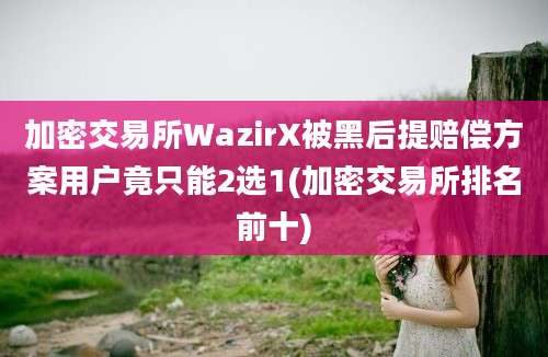 加密交易所WazirX被黑后提赔偿方案用户竟只能2选1(加密交易所排名前十)