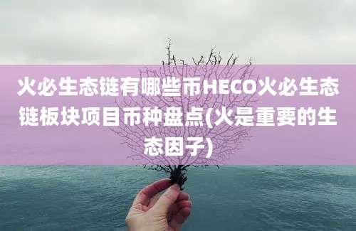 火必生态链有哪些币HECO火必生态链板块项目币种盘点(火是重要的生态因子)