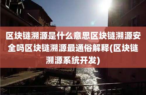 区块链溯源是什么意思区块链溯源安全吗区块链溯源最通俗解释(区块链溯源系统开发)