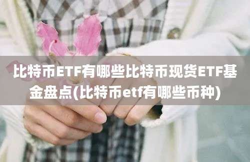 比特币ETF有哪些比特币现货ETF基金盘点(比特币etf有哪些币种)