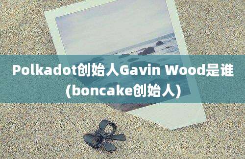 Polkadot创始人Gavin Wood是谁(boncake创始人)