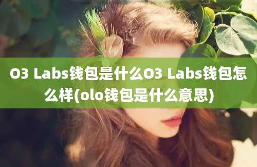 O3 Labs钱包是什么O3 Labs钱包怎么样(olo钱包是什么意思)