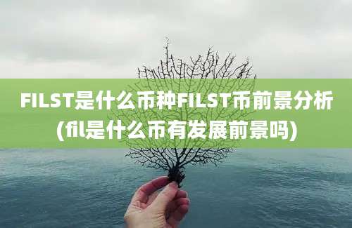 FILST是什么币种FILST币前景分析(fil是什么币有发展前景吗)