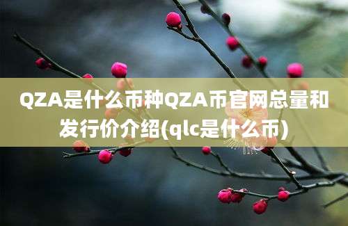 QZA是什么币种QZA币官网总量和发行价介绍(qlc是什么币)