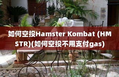 如何空投Hamster Kombat (HMSTR)(如何空投不用支付gas)