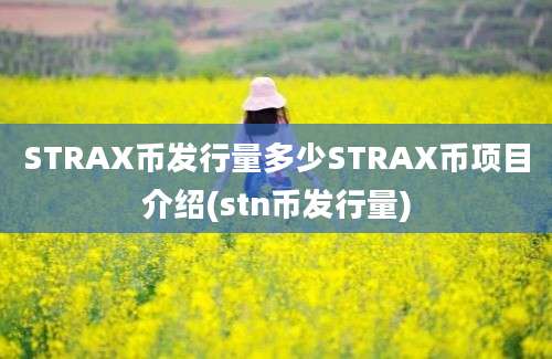 STRAX币发行量多少STRAX币项目介绍(stn币发行量)