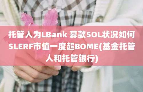 托管人为LBank 募款SOL状况如何SLERF市值一度超BOME(基金托管人和托管银行)