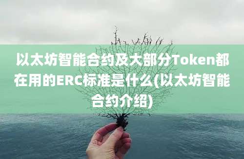 以太坊智能合约及大部分Token都在用的ERC标准是什么(以太坊智能合约介绍)