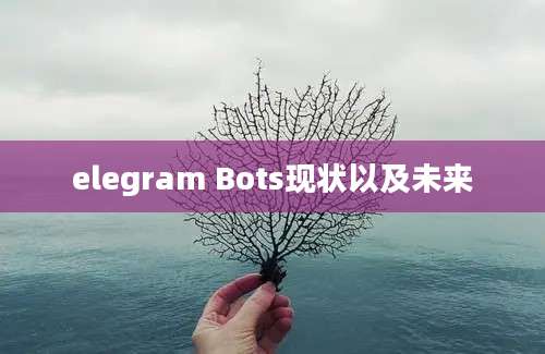 elegram Bots现状以及未来