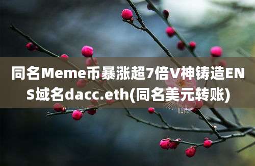 同名Meme币暴涨超7倍V神铸造ENS域名dacc.eth(同名美元转账)