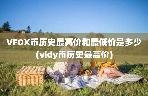 VFOX币历史最高价和最低价是多少(vidy币历史最高价)