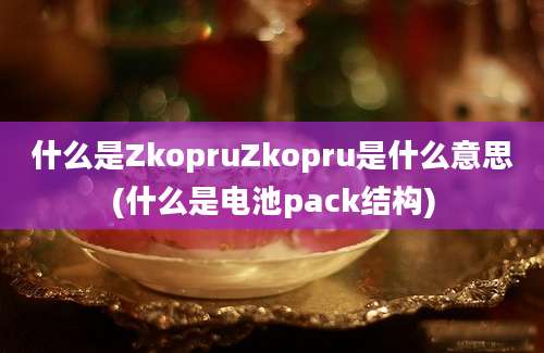 什么是ZkopruZkopru是什么意思(什么是电池pack结构)