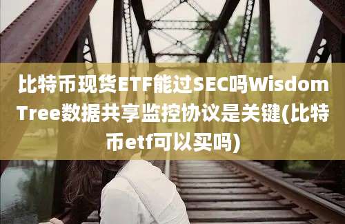 比特币现货ETF能过SEC吗WisdomTree数据共享监控协议是关键(比特币etf可以买吗)