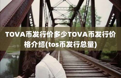 TOVA币发行价多少TOVA币发行价格介绍(tos币发行总量)