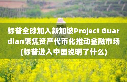 标普全球加入新加坡Project Guardian聚焦资产代币化推动金融市场(标普进入中国说明了什么)