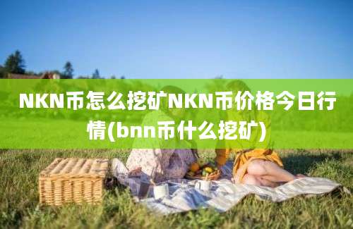 NKN币怎么挖矿NKN币价格今日行情(bnn币什么挖矿)